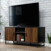 Canyon Lane TV Stand with 2 Doors - Brew Oak