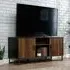Canyon Lane TV Stand with 2 Doors - Brew Oak