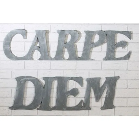 Carpe Diem Wall Decoration Set of 2 - Grey, Metal product