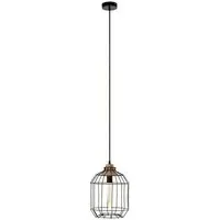 Ceakon Wire Frame Pendant Light - Black, Metal