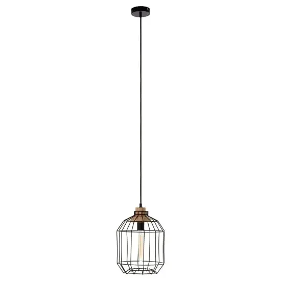 Ceakon Wire Frame Pendant Light - Black, Metal image