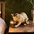 Cesme Kitten Shape Table Lamp - Gold