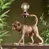Cesme Monkey Table Lamp - Gold