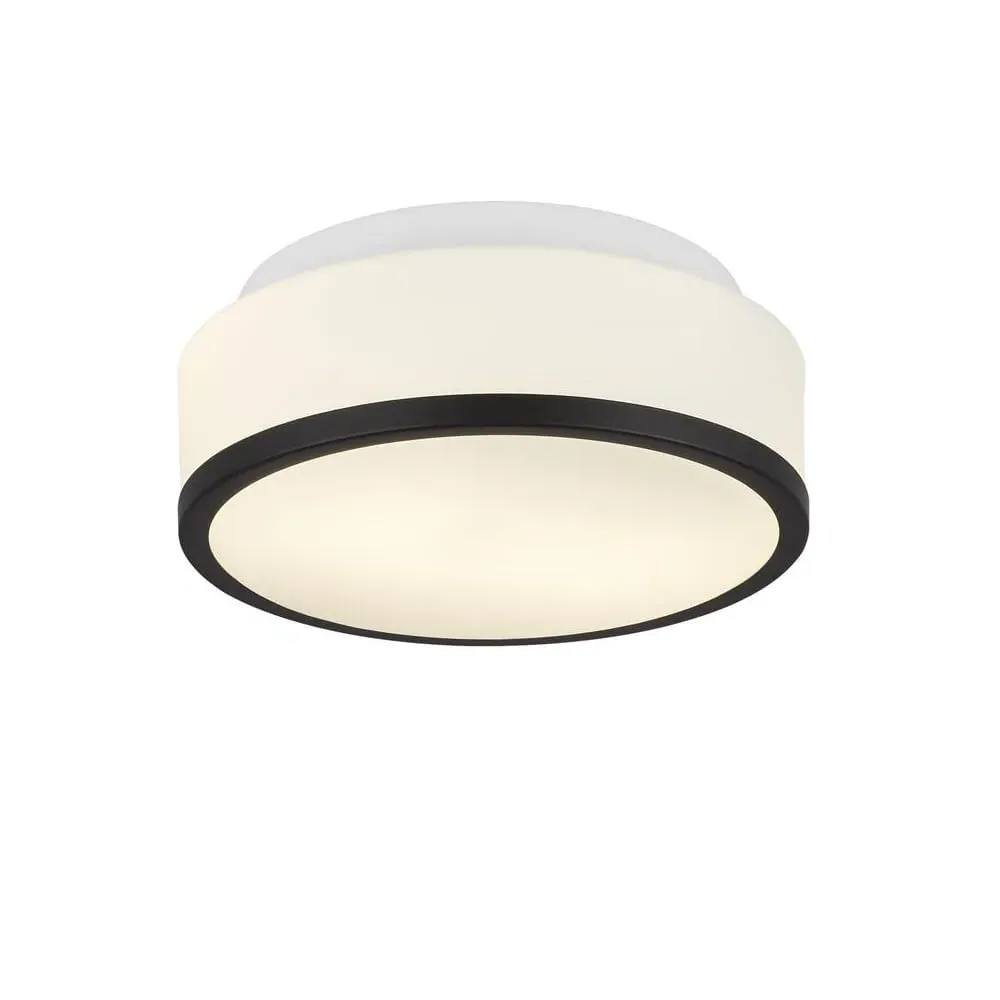 Cheese Small 2 Light Flush Light - White, Clear Glass image