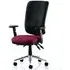 Chiro High Back Office Chair with Arms - Black, Ginseng Chilli