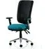 Chiro High Back Office Chair with Arms - Black, Teal