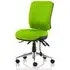 Chiro Medium Back Office Chair - Myrrh Green