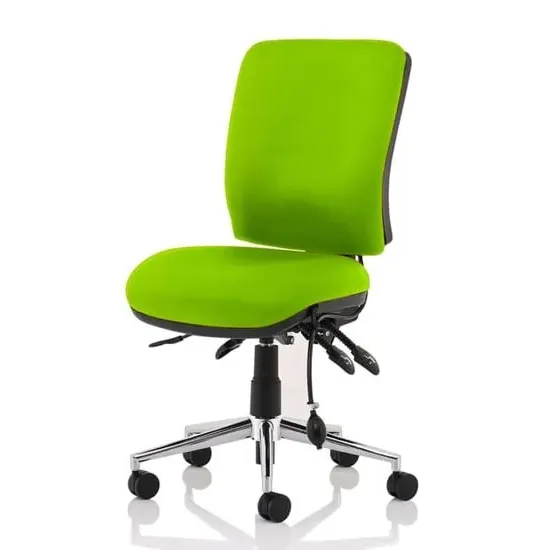Chiro Medium Back Office Chair - Myrrh Green