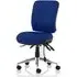 Chiro Medium Back Office Chair - Stevia Blue