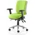 Chiro Medium Back Office Chair with Arms - Myrrh Green