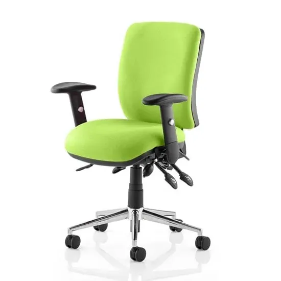 Chiro Medium Back Office Chair with Arms - Myrrh Green