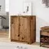 Clive Shoe Storage Cabinet with 2 Doors - Old Wood, Engineered Wood