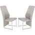 Crowley Dining Chairs with Chrome Legs - Champagne, Leather