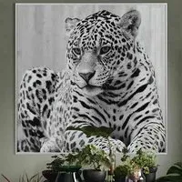 Cursa Cheetah Glass Wall Art - Black and White