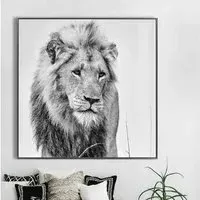Cursa Golden Lion Square Wall Art - Black, Glass