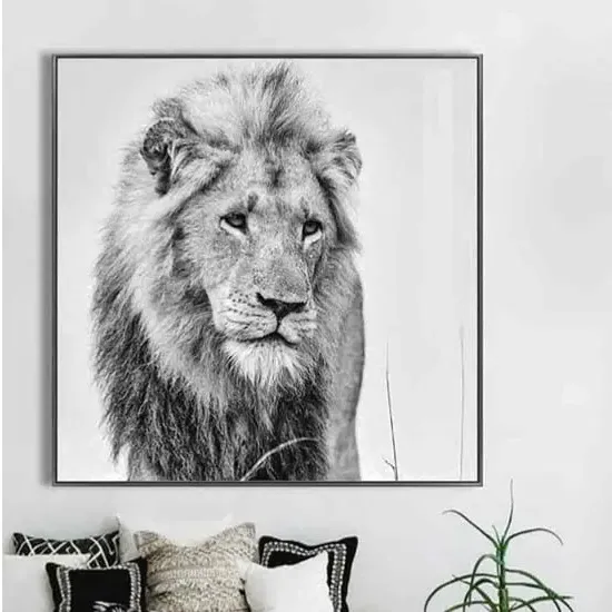 Cursa Golden Lion Square Wall Art - Black, Glass