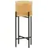 Daire Small Plant Stand with Cross Legs - Black, Wood