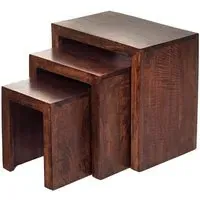 Dakota Nest of 3 Tables - Mango Wood