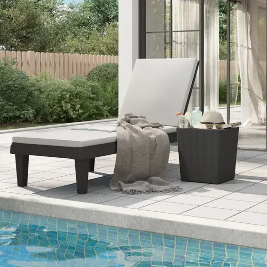 Daleyza Sun Lounger with Adjustable Backrest - Black, Polypropylene image