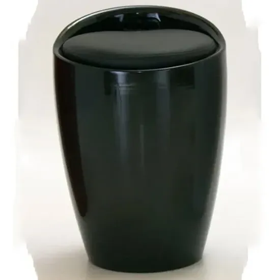 Dalius Stool with Storage - Black, High Gloss image