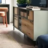 Danville Large TV Stand with Sliding Door - Green, Oak