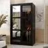 Danville Small Mirrored Wardrobe with Sliding Doors - Black