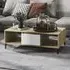 Danya Rectangular Coffee Table with Storage - White, Chipboard