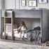 Davis Velvet Bunk Bed with Ladder - Grey