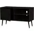 Deland TV Stand with Storage - Black, MDF
