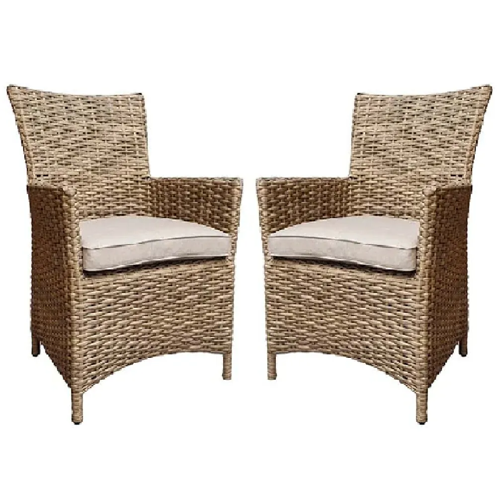 Derya Garden Dining Chairs with Cushion - Natural, Rattan image