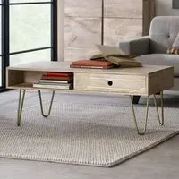 Dhort Rectangular Coffee Table with Storage - Natural, Mango Wood