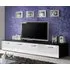 Doswell High Gloss TV Stand with 2 Doors - Black and White