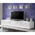 Doswell High Gloss TV Stand with 2 Doors - White