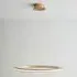 Dothan LED Ring Ceiling Pendant Light - Satin Gold