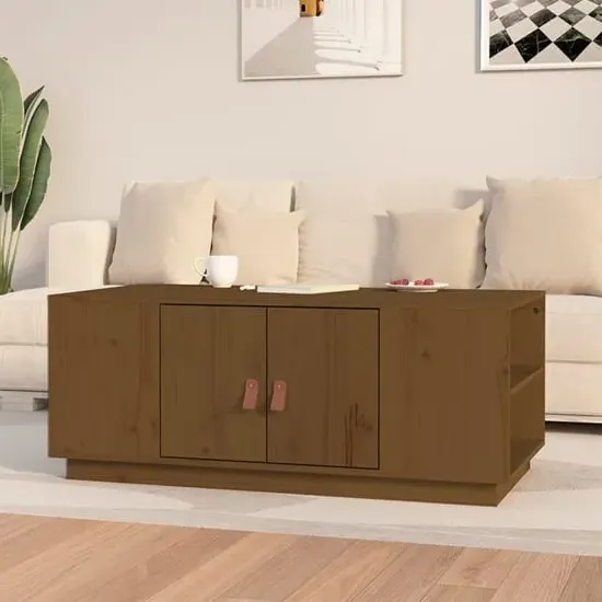 Drika Coffee Table with Storage - Brown, Pinewood