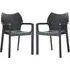 Dublin Dining Chairs Set of 2 - Black, Glass Fibre