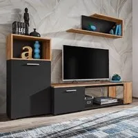 Elyria I Entertainment Unit with Storage - Black, Oak