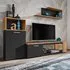 Elyria I Entertainment Unit with Storage - Black, Oak