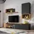 Elyria II Entertainment Unit - Black, Oak