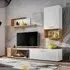 Elyria II Entertainment Unit - White, Oak