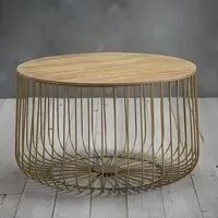 Enzi Large Coffee Table with Storage - Oak, Gold