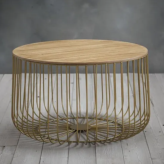 Enzi Large Coffee Table with Storage - Oak, Gold