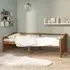 Evania Single Day Bed - Brown, Pine Wood