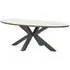 Ezra Large Oval Garden Dining Table - Light Brown, Vironwood