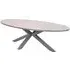 Ezra Large Oval Garden Dining Table - Taupe, Vironwood