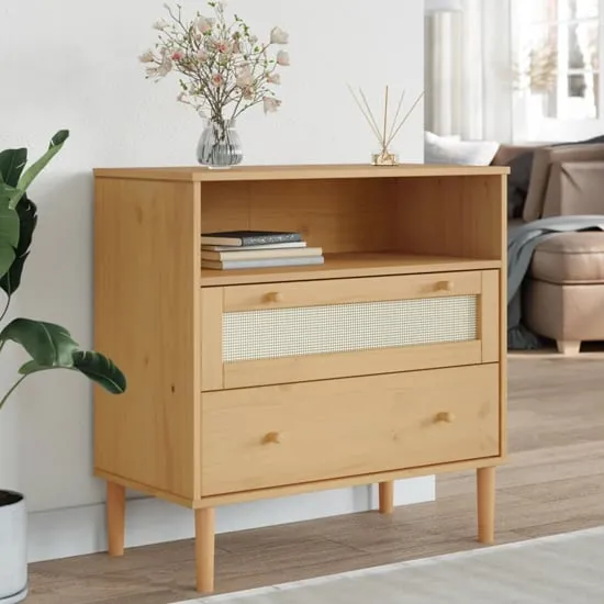 Fenland Storage Cabinet with 2 Drawers - Brown, Pine image