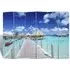Fifer Folding Room Divider - Beach Print, Fir Wood