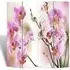 Fifer Folding Room Divider - Flower Print, Fir Wood