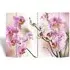 Fifer Folding Room Divider - Flower Print, Fir Wood