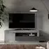Fiora TV Stand with 1 Door 1 Drawer - Cement and Lead, Wood